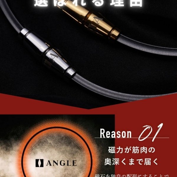 ANGLE アングル 磁気 ネックレス e.MODEL 02 医療機器 肩こり 血行