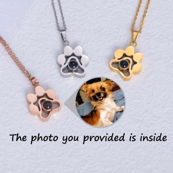 愛犬・愛猫・うちの子や好きな顔写真が投影されるサークル