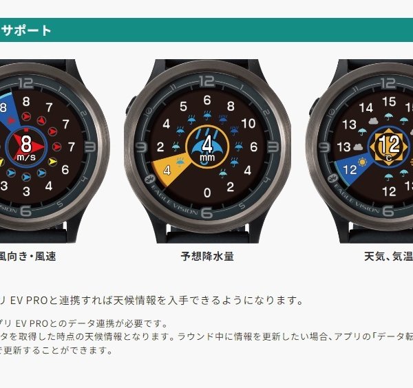 EAGLE VISION イーグルビジョン ACE-PRO- エース プロ GPSゴルフナビ 