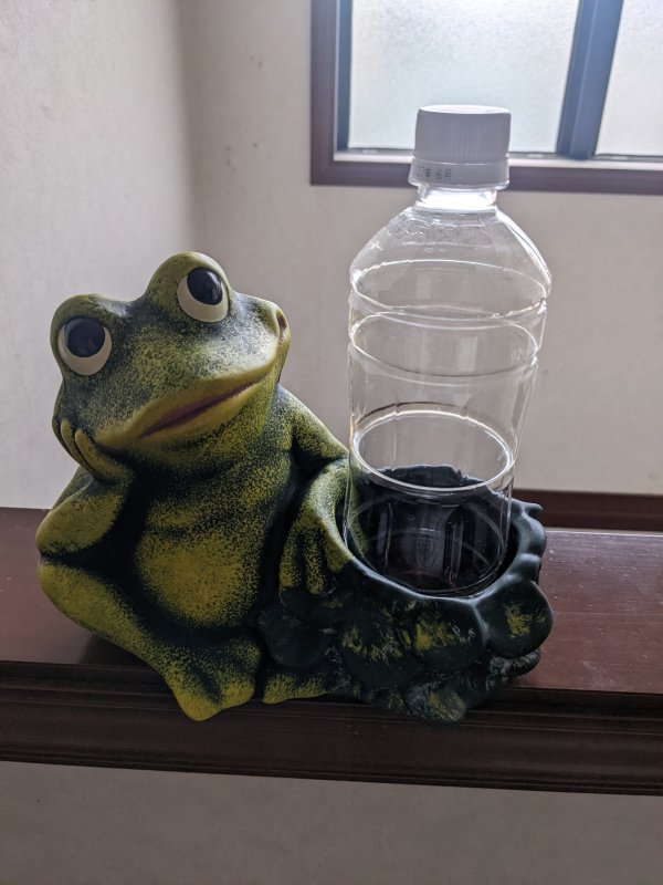 レビュー画像