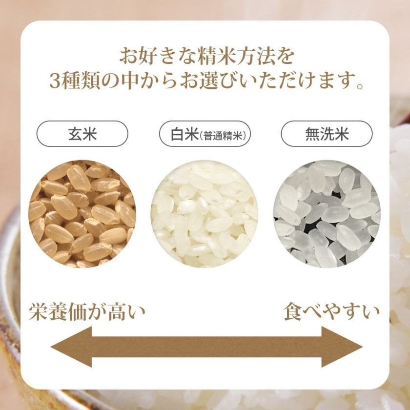つや姫 10kg (5kg×2袋) 山形県産 令和7年産 - 【阿部ベイコク 