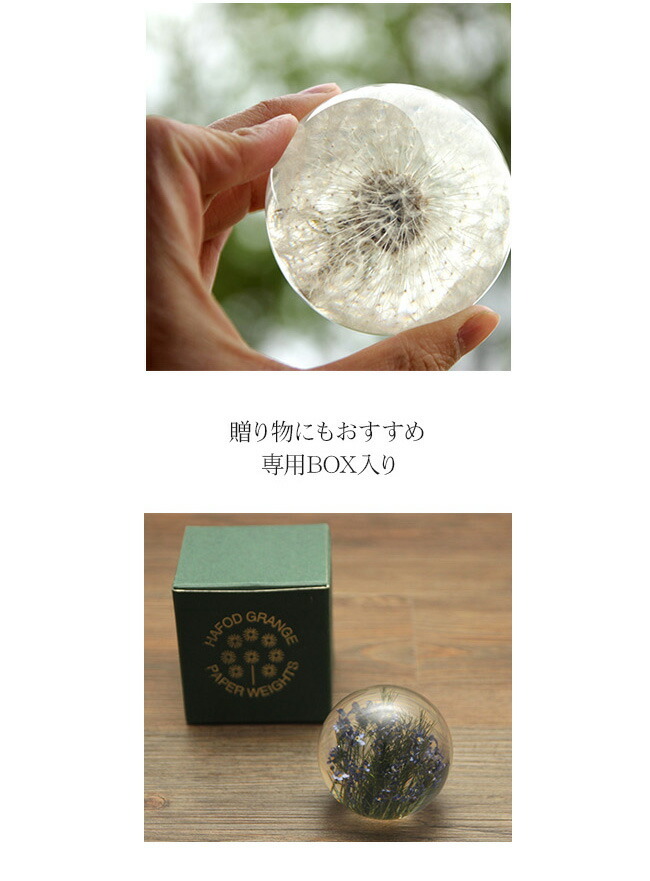 HafodGrange ハフォドグレンジ 花文鎮フラワーペーパーウエイトS