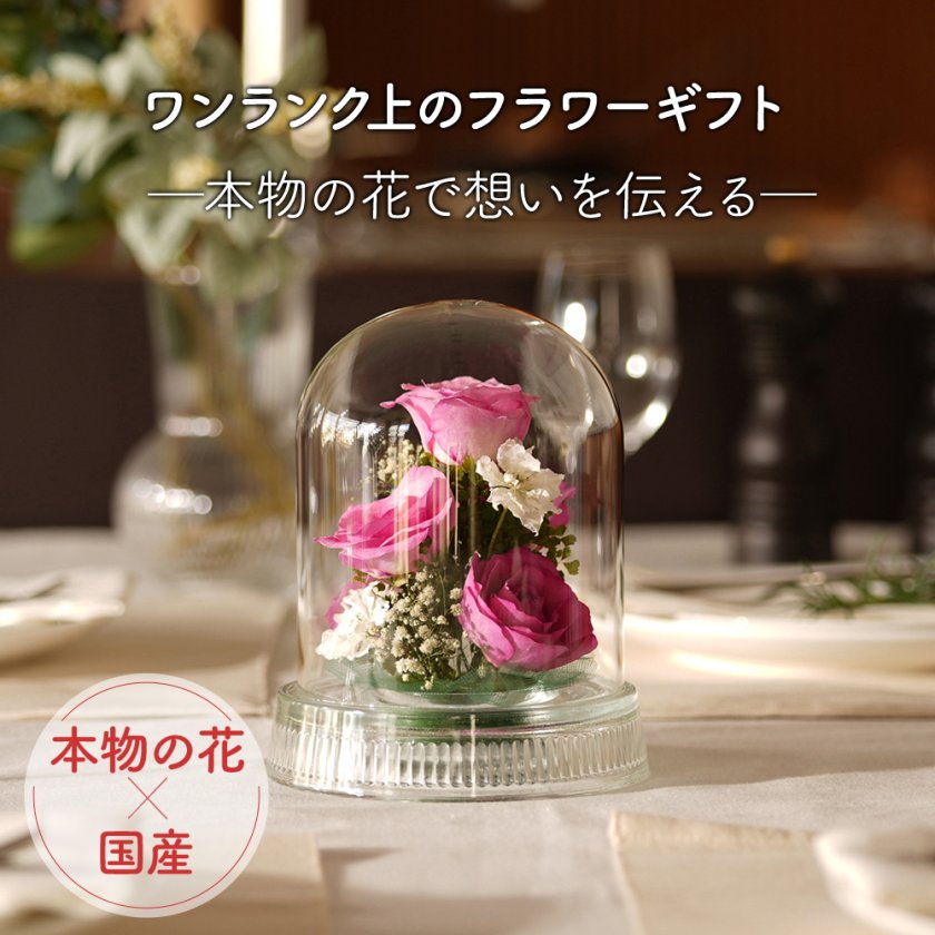 レンデフロール 日本製 ボトルフラワー ドライフラワー フラワーギフト