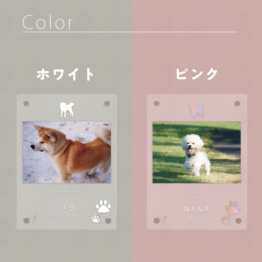 ギフトラッピング対応 【名入れ無料】送料無料 フォトフレーム ペット