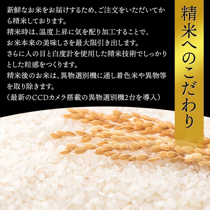 令和7年】 山形県産 はえぬき 10キロ (精米) 5kg×2袋 送料無料 米 コメ