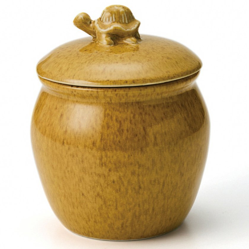 保存容器 カメノコ Lサイズ カメ TAMAKI｜梅干し 味噌 たれ 便利