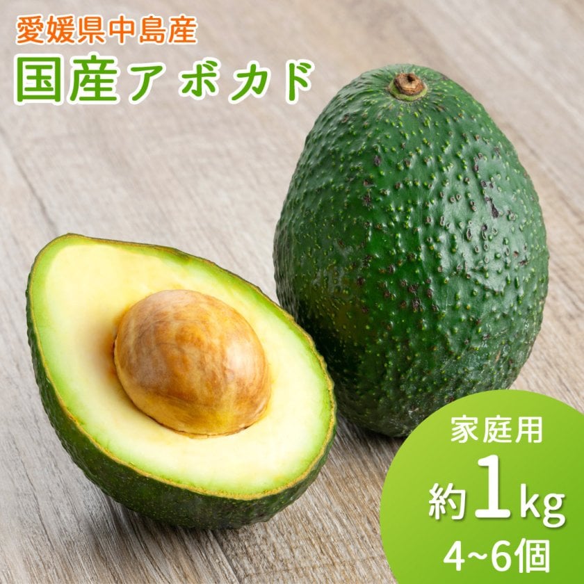 産地直送 国産アボカド 1kg 4～6個 サイズ不揃い 家庭用 アボガド 1