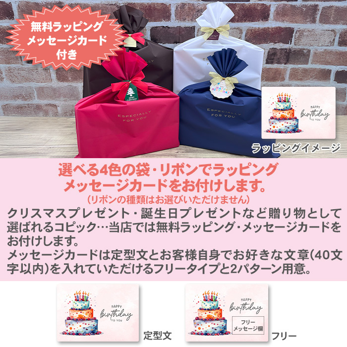 ラッピング・メッセージカード無料】【送料無料】コピック コピック