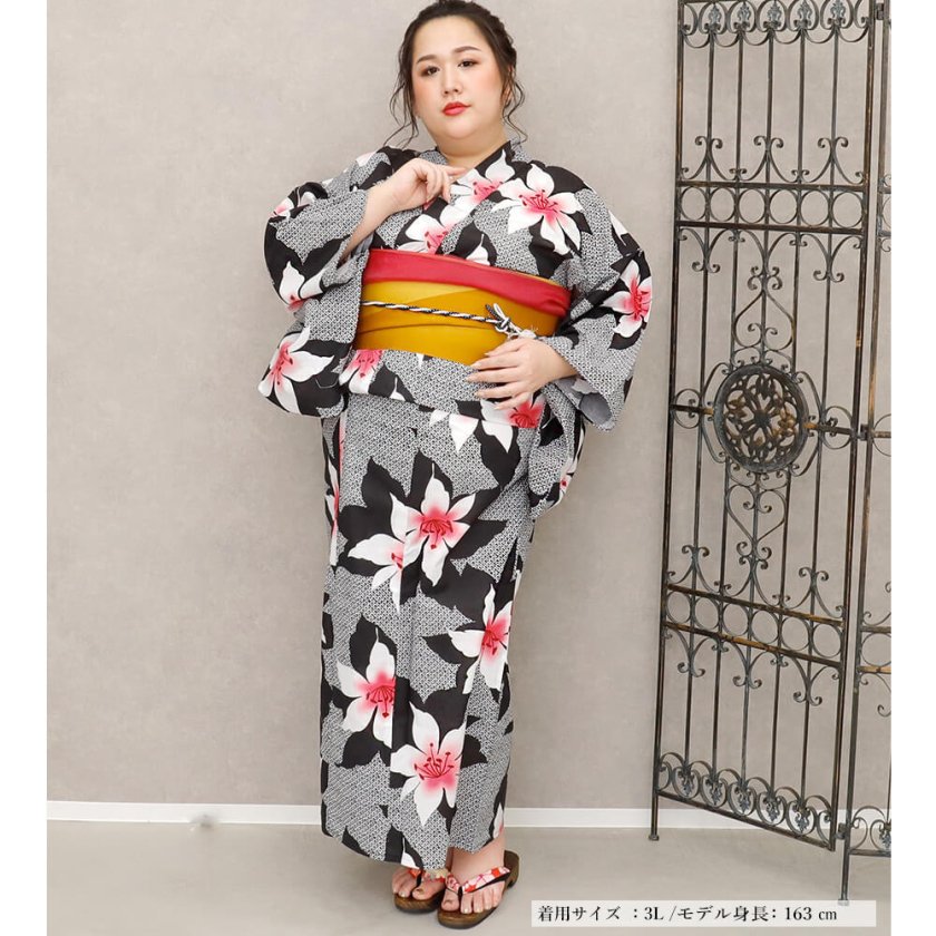 浴衣 大きいサイズ レディース ゆかた 大人 浴衣単品 3L 4L