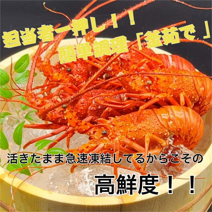伊勢海老 ズワイセット ズワイガニ 海老 生 冷凍 天然 伊勢 海老 お
