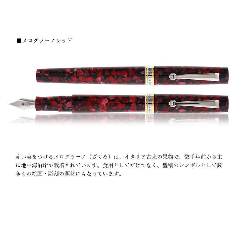 ★美品新品★レオナルド　ノスタルジア　万年筆 日本限定 レオナルド・オフィチーナ・イタリアーナ 万年筆