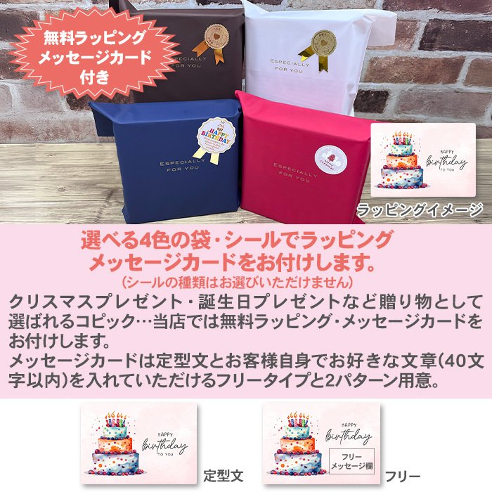 ラッピング・メッセージカード無料】【送料無料】コピック コピック