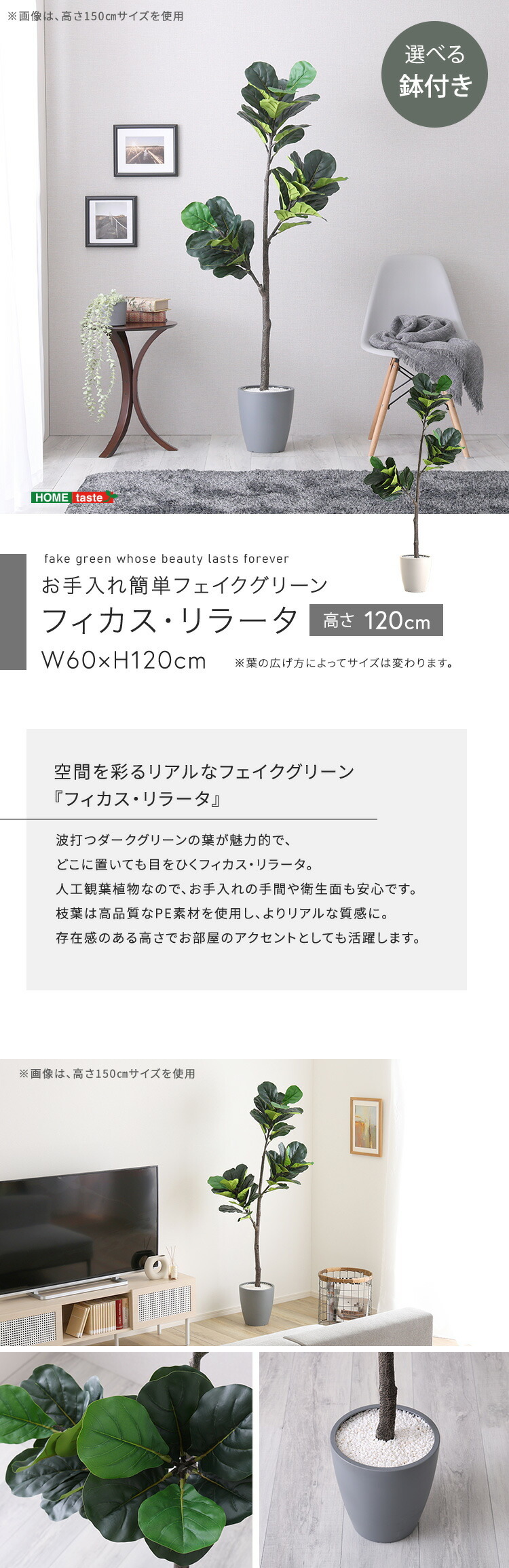 観葉植物 フェイクグリーン フィカス・リラータ Sサイズ(120cm) 鉢付き