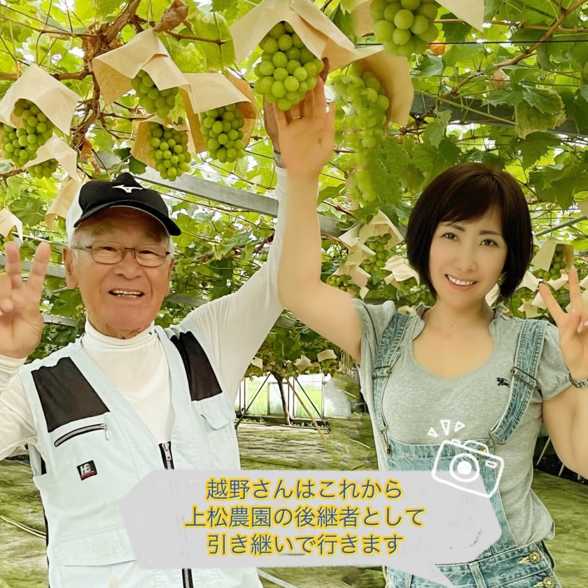 予約】岡山県 ぶどう シャインマスカット クイーンニーナ マイハート
