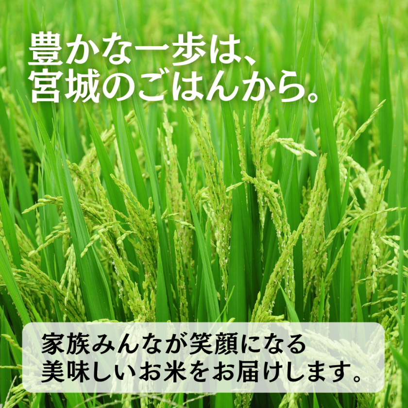送料無料！令和7年産 宮城県産 笠原さんのササニシキ 5kg or 10kg お米