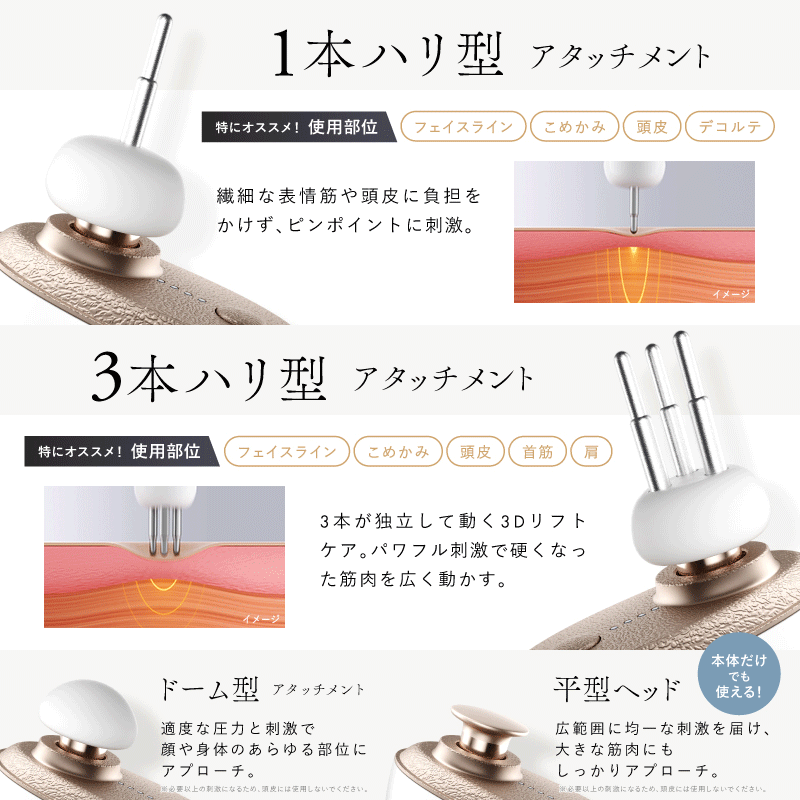 NIPLUX BEGUN リフトガン 美顔器 リフトアップ NIPLUX公式】正規品 NIPLUX BEGUN リフトガン リフトケア 美顔ケア