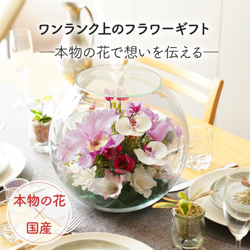 レンデフロール 日本製 ボトルフラワー ドライフラワー フラワーギフト