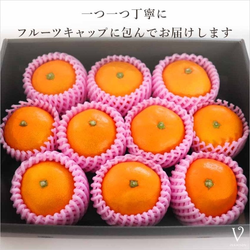 夏ギフト お中元 【選べるメッセージカード】お歳暮 みかん 果物
