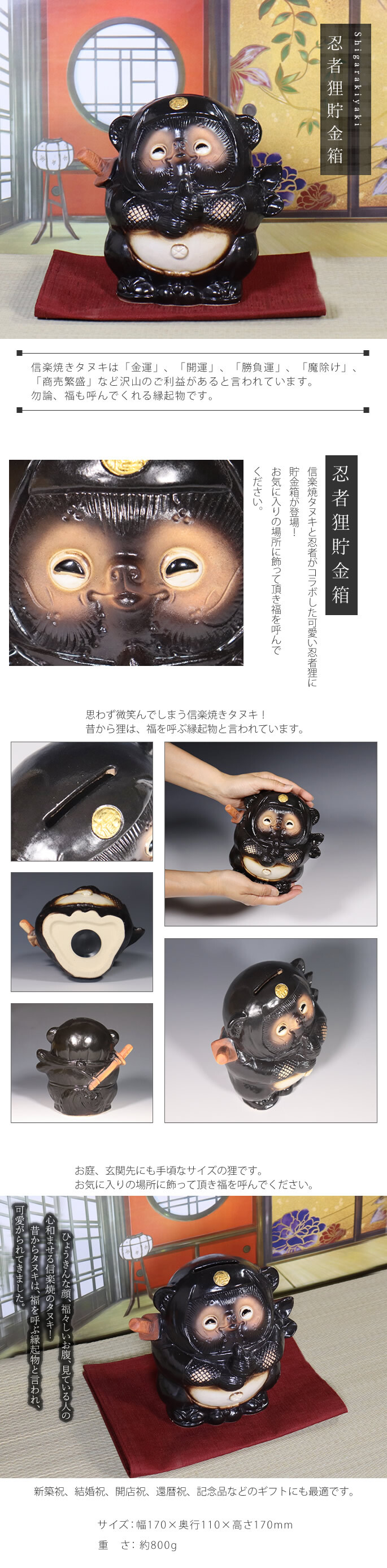 信楽焼 狸 置物 高さ17cm 陶器 縁起物 忍者たぬき貯金箱 ta-0405
