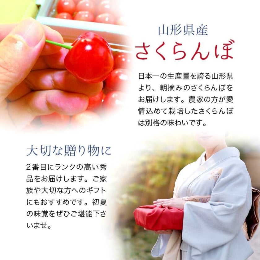 山形県産 さくらんぼ 秀品 佐藤錦・紅秀峰 ギフト - 【東北ハッピー
