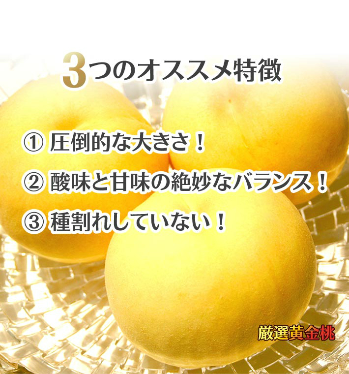 桃 黄金桃 中大玉約1.4kg（約290g×5個) 送料無料 敬老の日 ギフト
