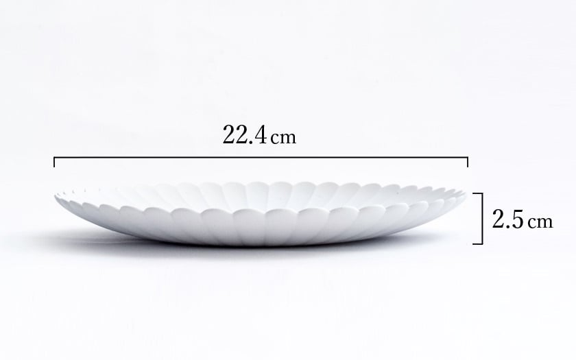 TY Palace(パレス) 160mm 5枚セット 化粧箱入り ( 1616 / arita japan