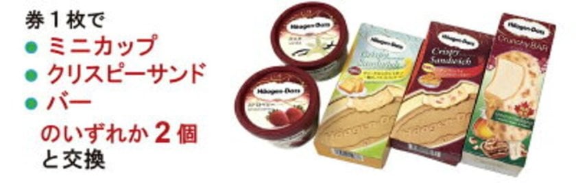 ハーゲンダッツギフト券 3枚 のし紙サービス 印刷代込 アイスクリーム ギフト券 プレゼント 送料無料 - BMessage - プレゼント ギフトの