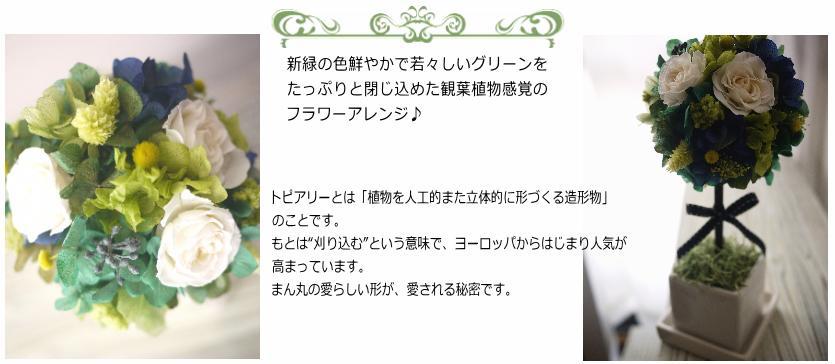 メイ】プリザーブドフラワー、トピアリー ラッピング無料 インテリア