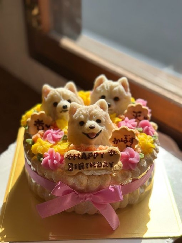 さつまものムースシャルロット3 わんちゃん用（犬）ケーキ 誕生日