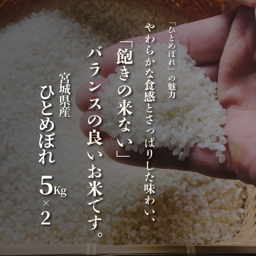 宮城県産 ひとめぼれ お米 10kg】10キロ 精米 白米 おくさま印 食品
