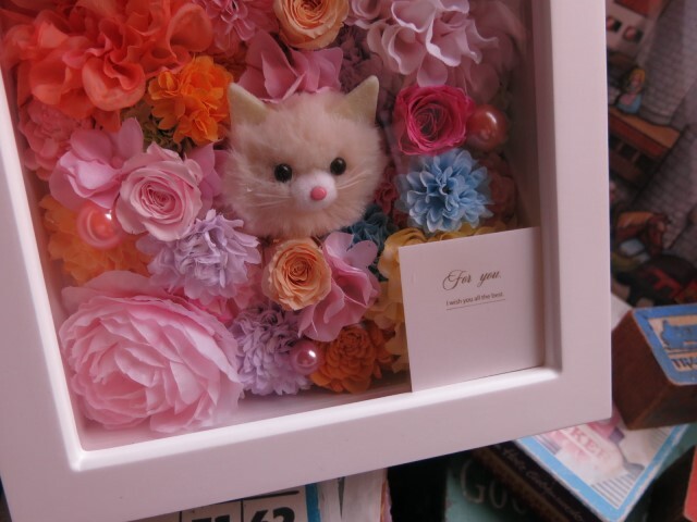 猫入り ネコ好き プリザーブドフラワー入り 壁掛け カラフル仕上げ