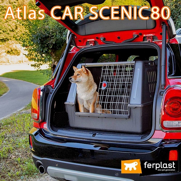 イタリアferplast社製 アトラスカー SCENIC 80 atlas CAR クレート 犬