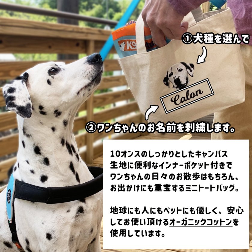 お散歩バッグ トートバッグ S 名前 名入れ 刺繍 刺しゅう ネーム刺繍