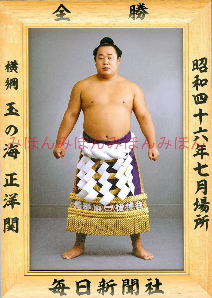玉の海正洋関 優勝ミニ額 大相撲ミニ額 大相撲優勝額 昭和46年7月