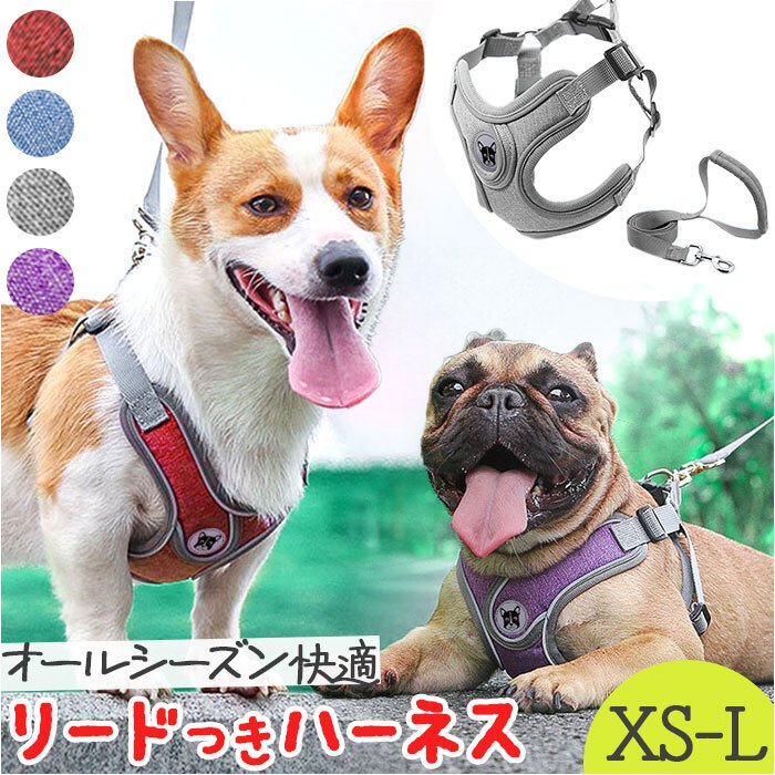 ハーネスリード 犬 通販 ハーネス リード付き ハーネスリードセット