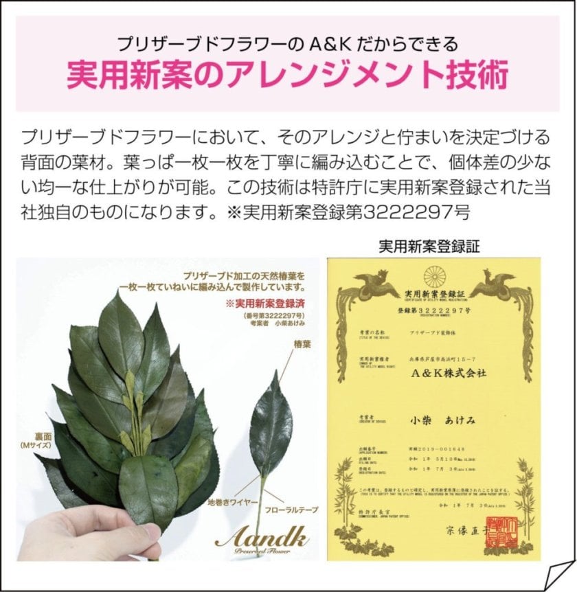 祝い 榊 プリザーブド 【 生葉使用 】枯れない 榊 椿 水やり不要 国産プリザーブド 榊(椿)Mサイズ一対 枯れない サカキ 水やり不要 お盆