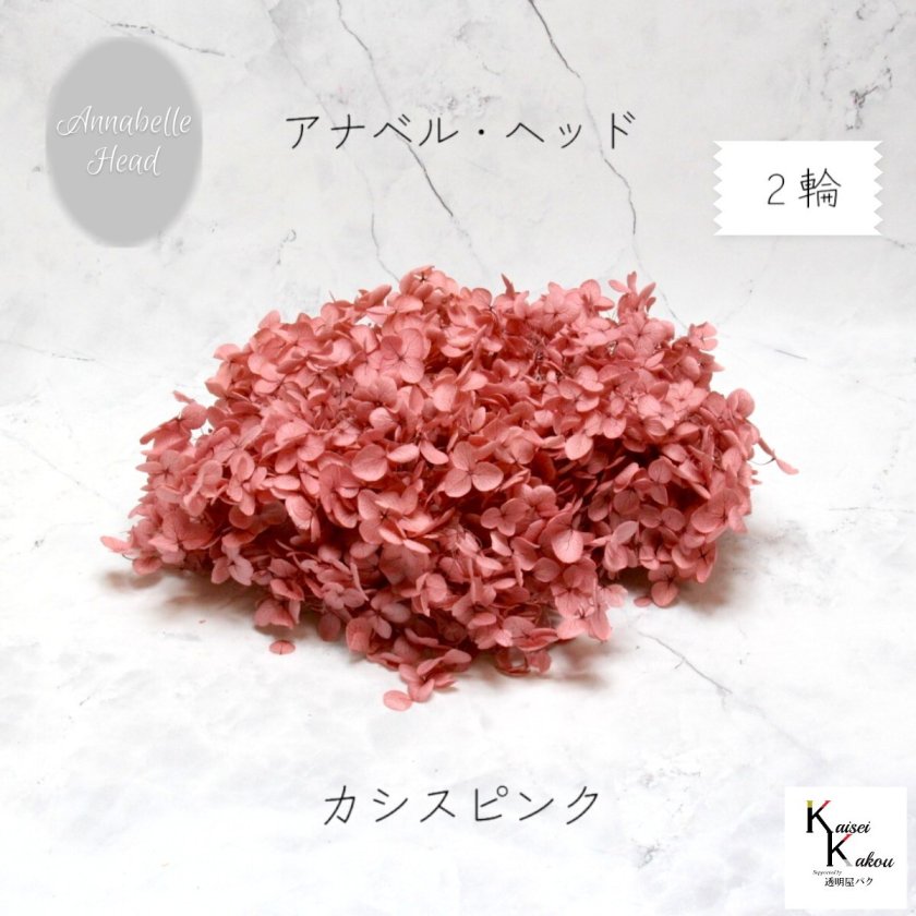 宅急便で発送 大地農園！プリザーブドフラワー 「ソフトアナベル