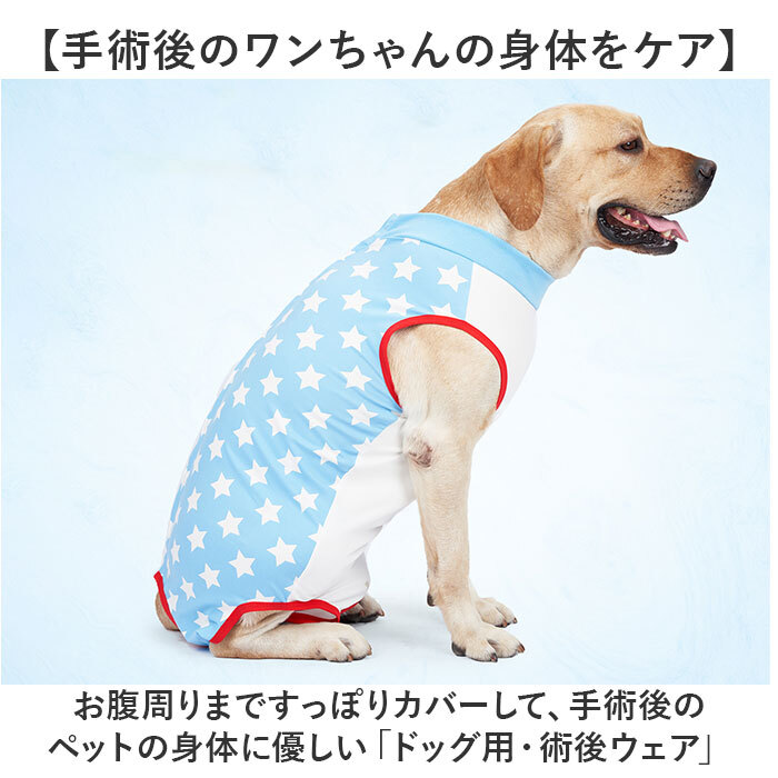  ペットウェア ドッグウェア MサイズHZ6660 新品 手術後服 犬 猫 ペット 通販 ペット術後服 術後ウェア 介護服 寝間着