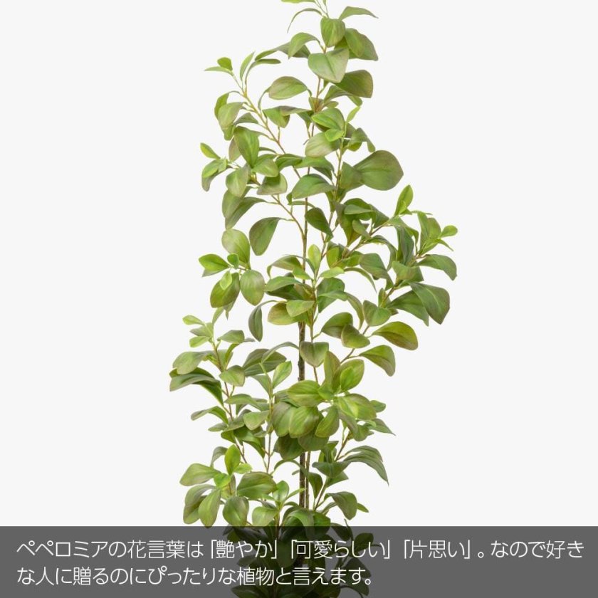 フェイクグリーン 大型 人工 観葉植物 造花 開運ペペロミア