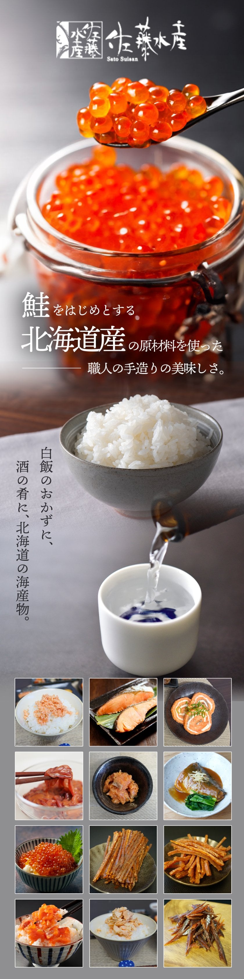 活動歴および当時の関連ビジュアル記録