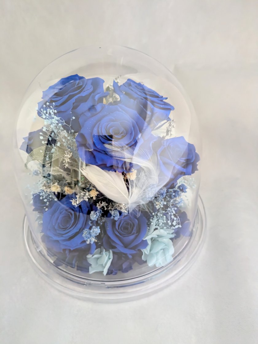 プリザーブドフラワー／青い薔薇11輪のラウンドドームギフト小花と白い