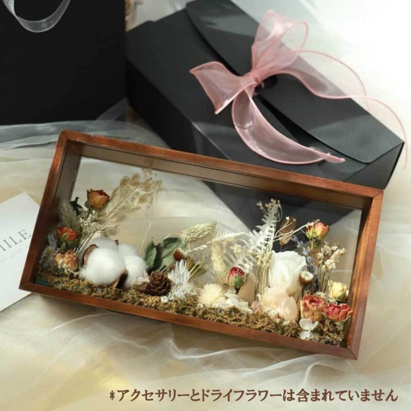 ドライフラワー アート ワーク 花 ディスプレイフレーム 植物 標本