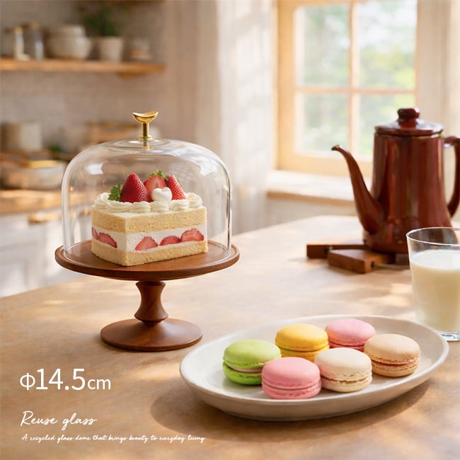 shesay リューズガラスのガラスドーム Sサイズ[ガラスドーム ケース