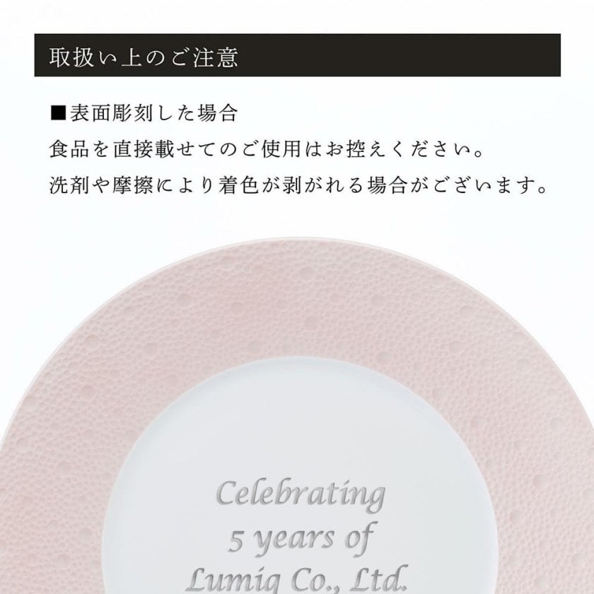 BERNARDAUD ベルナルド エキュム ローズ デザートプレート 21cm ペア