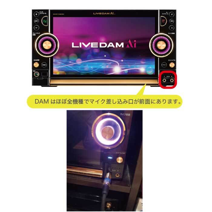 強化コード付】カラオケ マイマイク DM-817 有線マイク - 【カラオケ