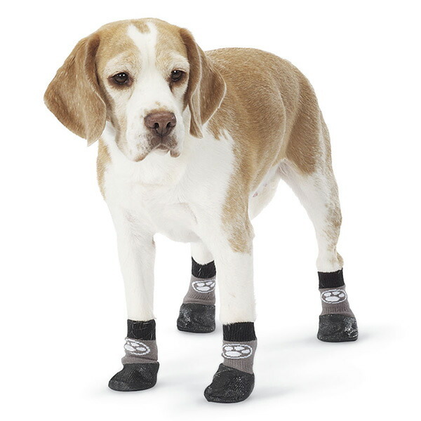 犬用靴下 ドッグソックス タキシード柄 滑り止めゴム付き ( 小型犬