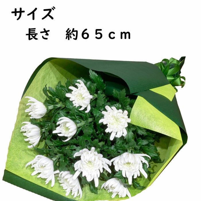 no※an様　お約束品 菊 白菊 10本の花束 お供え 花 お墓参り花 お悔やみ フラワーギフト 仏