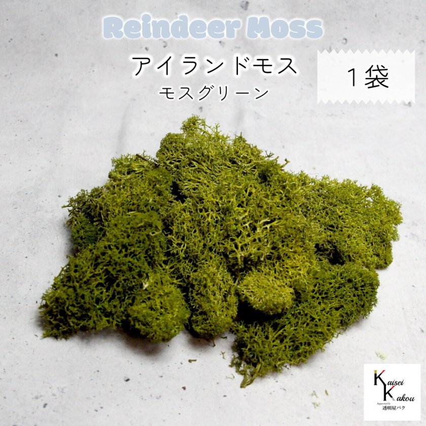 大地農園！プリザーブドフラワー 「アイランドモス モスグリーン 1袋