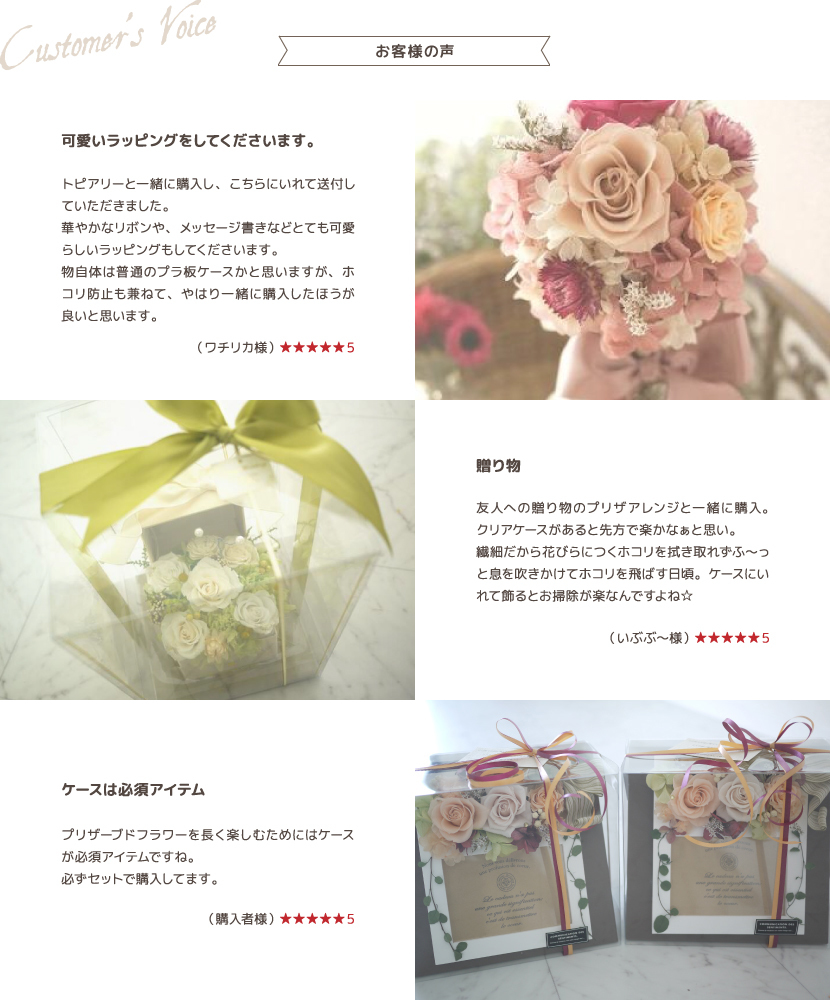 デイジー】プリザードフラワー ブリザードフラワー トピアリー、壁掛け