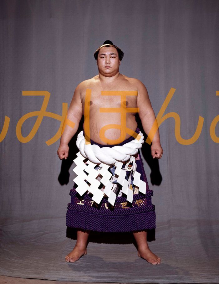 北の湖敏満関 優勝ミニ額 大相撲ミニ額 大相撲優勝額 昭和52年3月